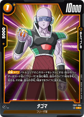 FB07-084 タゴマ R