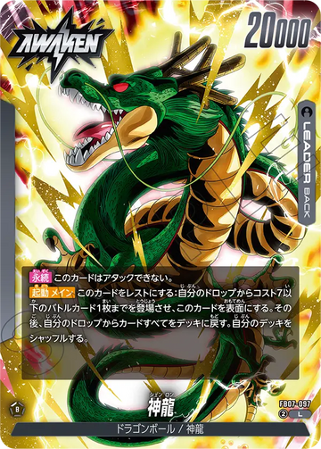 FB07-097 Shenron L