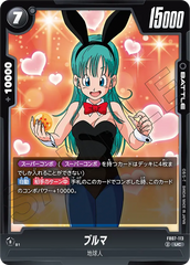 FB07-113 ブルマ UC