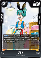 FB07-115 ブルマ UC