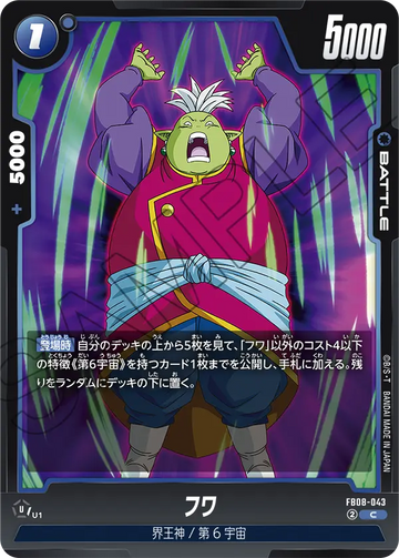 FB08-043 フワ C