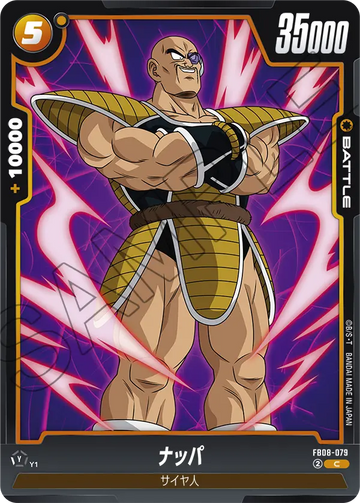 FB08-079 ナッパ C
