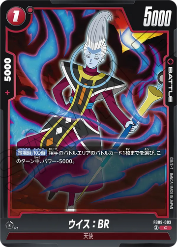 FB09-003 ウイス：BR C