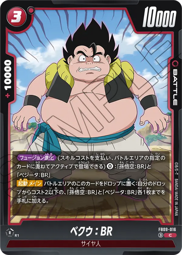 FB09-016 ベクウ：BR C