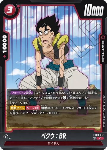 FB09-017 ベクウ：BR C