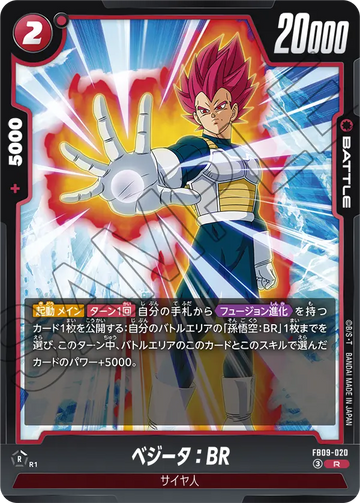 FB09-020 ベジータ：BR R
