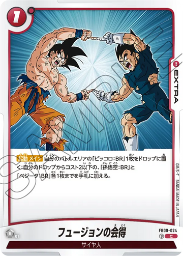 FB09-024 フュージョンの会得 C