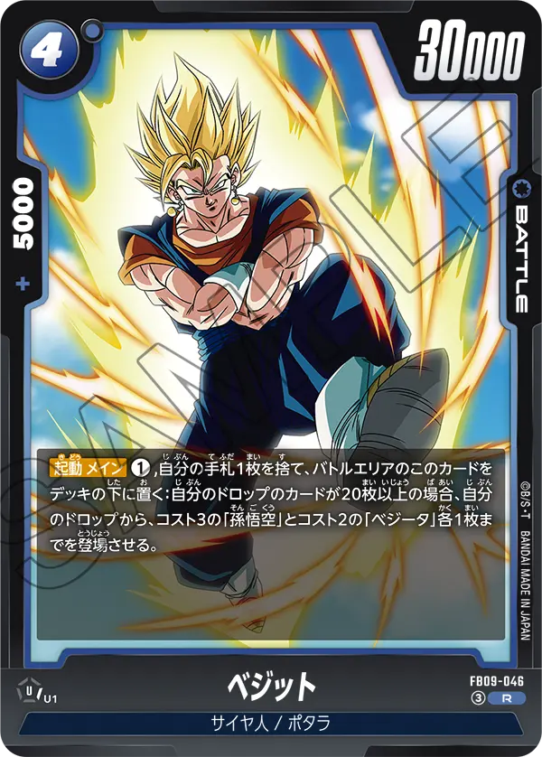 FB09-046 Vegito R