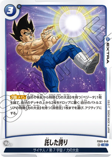 FB09-048 託した誇り C