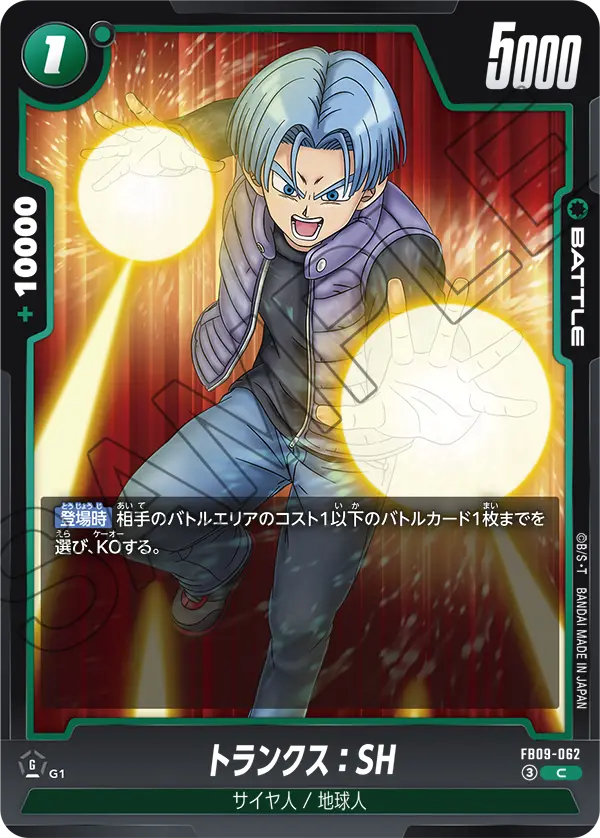 FB09-062 Trunks: SH C