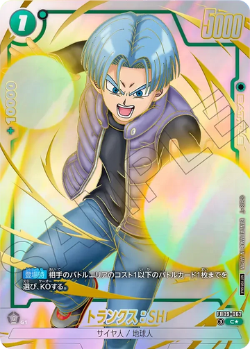FB09-062 トランクス：SH C★