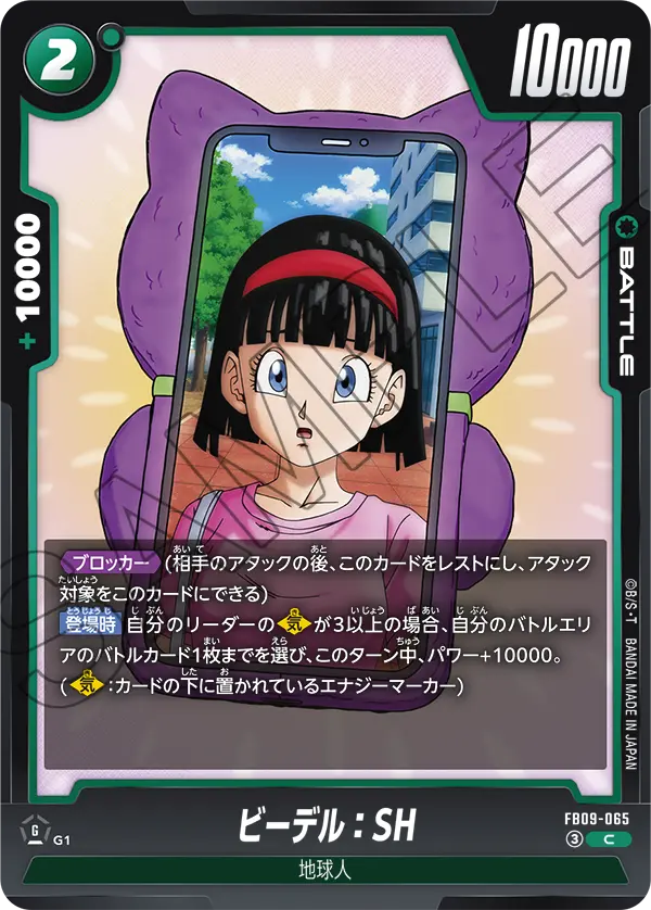 FB09-065 Videl:SH C