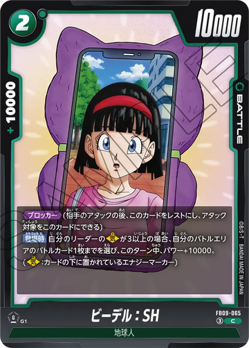 FB09-065 ビーデル：SH C