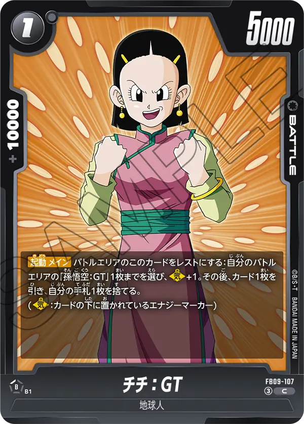 FB09-107 チチ：GT C