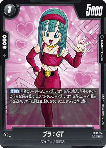 FB09-114 ブラ：GT R