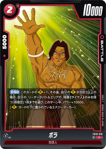 FB10-018 ボラ C