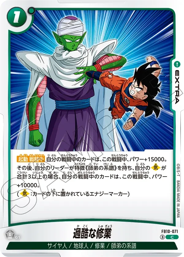 FB10-071 過酷な修業