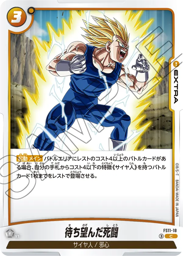 FS11-18 待ち望んだ死闘 C
