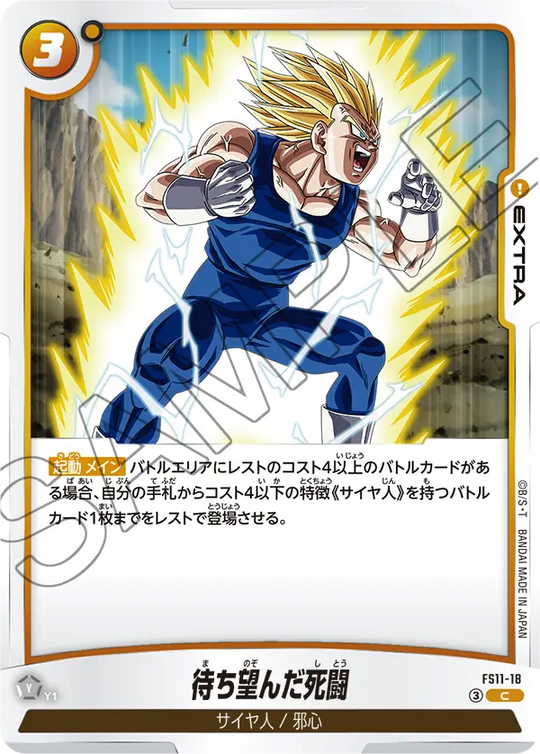 FS11-18 待ち望んだ死闘