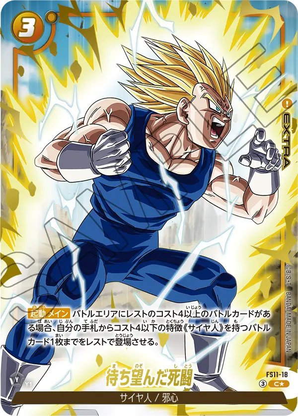 FS11-18 待ち望んだ死闘 C★