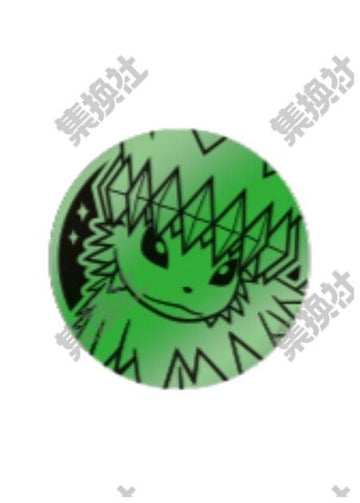 中国限定 コイン 【サンダース】