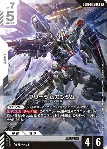 GD01-065 フリーダムガンダム LR