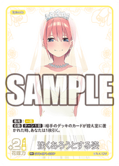 GYC-BP1-037  強くあろうとする姿 R＋