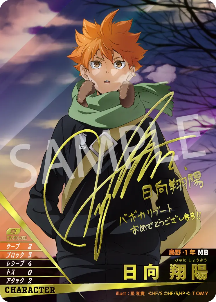 HV-P01-001 日向 翔陽 秘