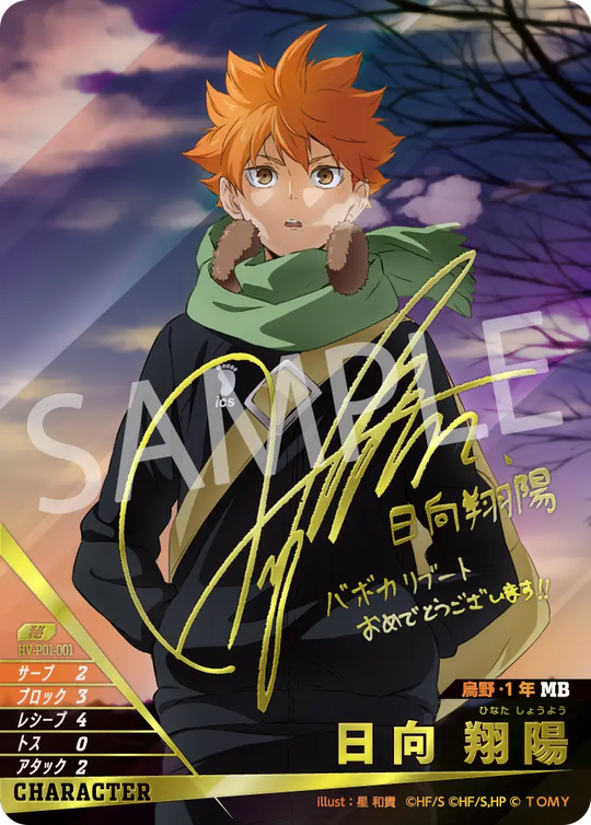 HV-P01-001 日向 翔陽 秘