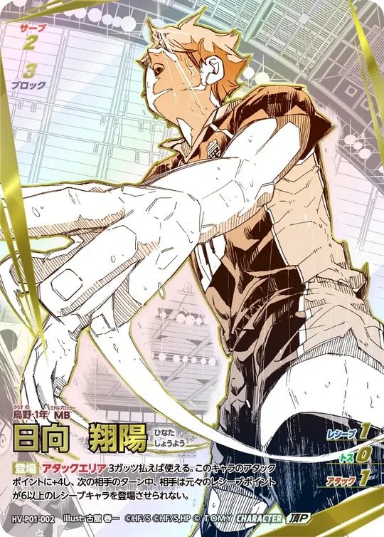 HV-P01-002 日向 翔陽 頂P