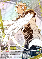 HV-P01-002 日向 翔陽 頂P