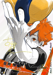 HV-P01-004 日向 翔陽 極