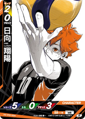 HV-P01-004 日向 翔陽 R