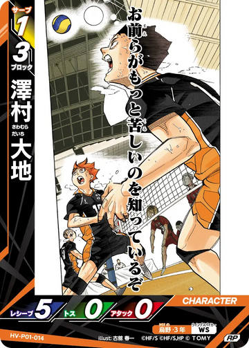 HV-P01-014 Sawamura Daichi RP