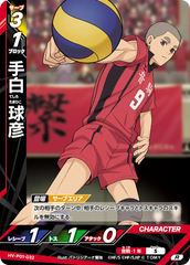 HV-P01-032 手白 球彦 R