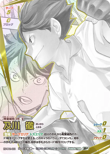 HV-P01-033 Oikawa Toru Top P
