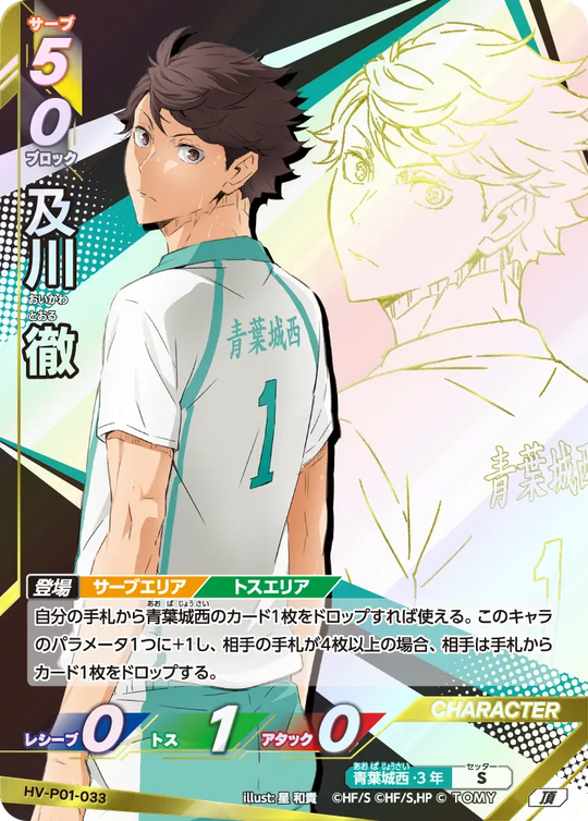 HV-P01-033 及川 徹 頂