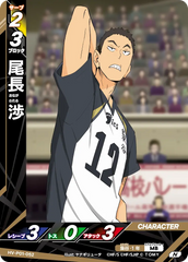 HV-P01-052 尾長 渉 N