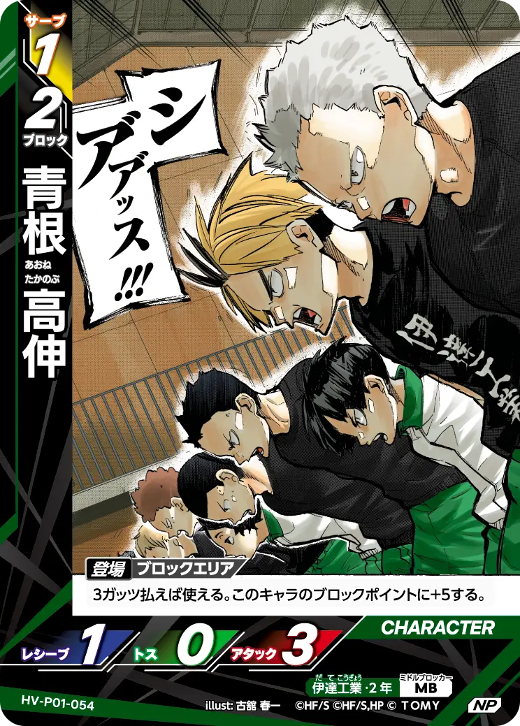 HV-P01-054 青根 高伸 NP