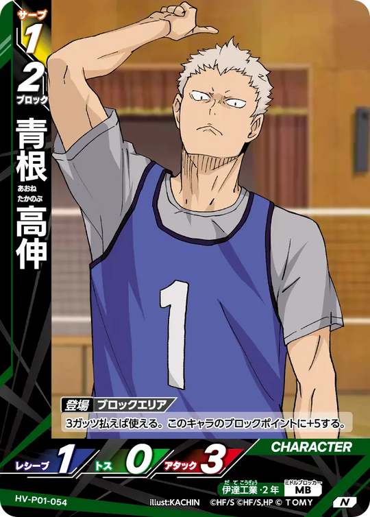 HV-P01-054 青根 高伸 N