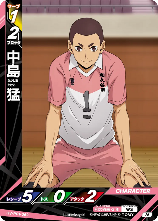 HV-P01-062 中島 猛 N