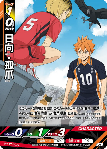 HV-P01-072 Hinata・Kozume N