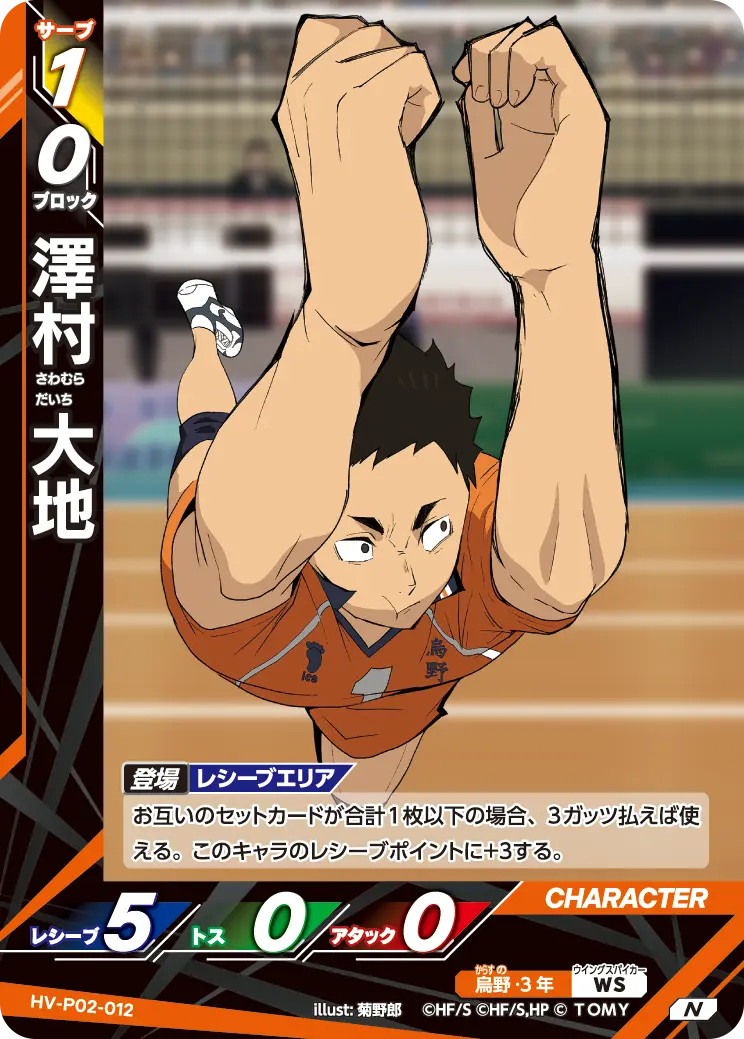 HV-P02-012 澤村 大地 N