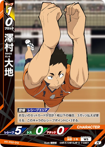 HV-P02-012 Daichi Sawamura N