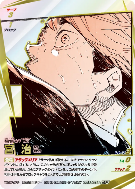 HV-P02-020 宮 治 頂P