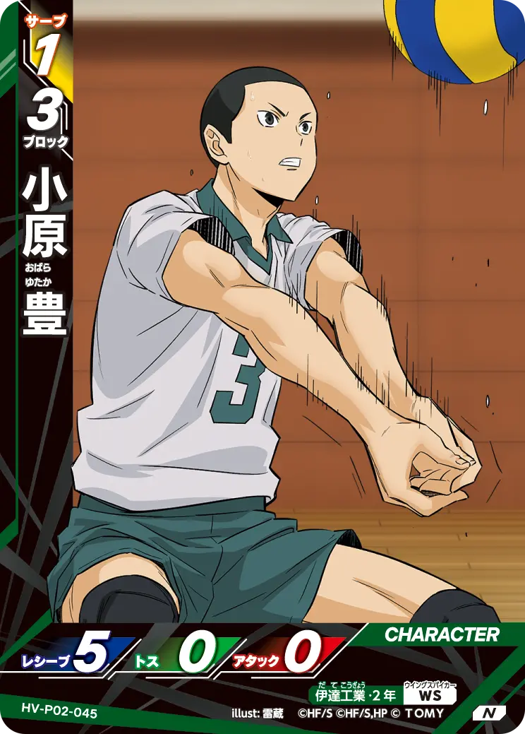 HV-P02-045 小原 豊 N