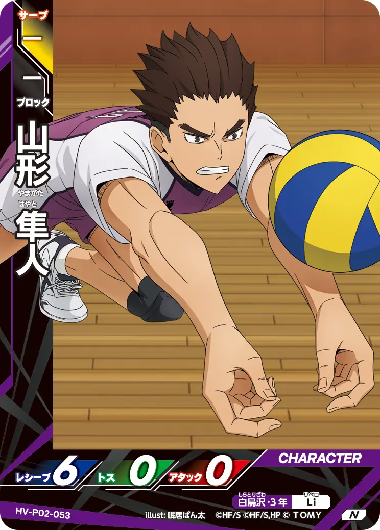 HV-P02-053 山形 隼人 N