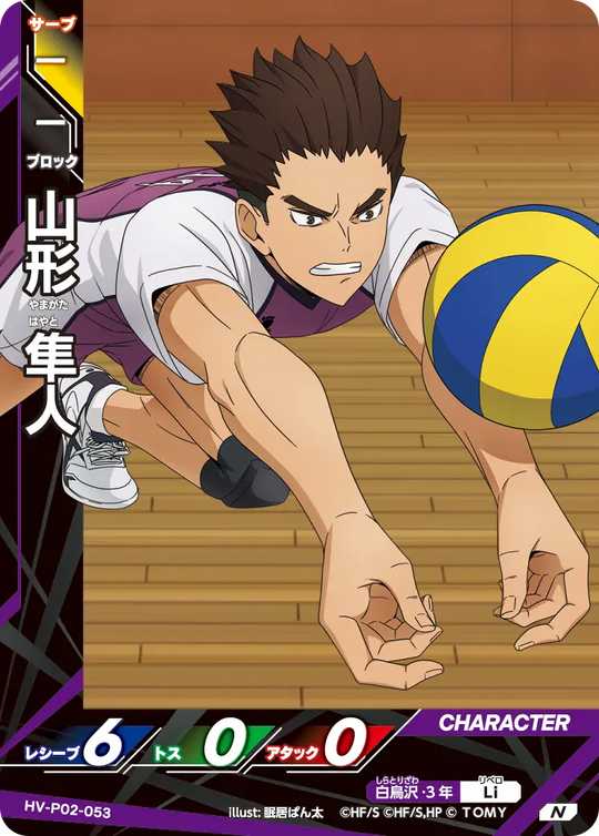 HV-P02-053 山形 隼人 N