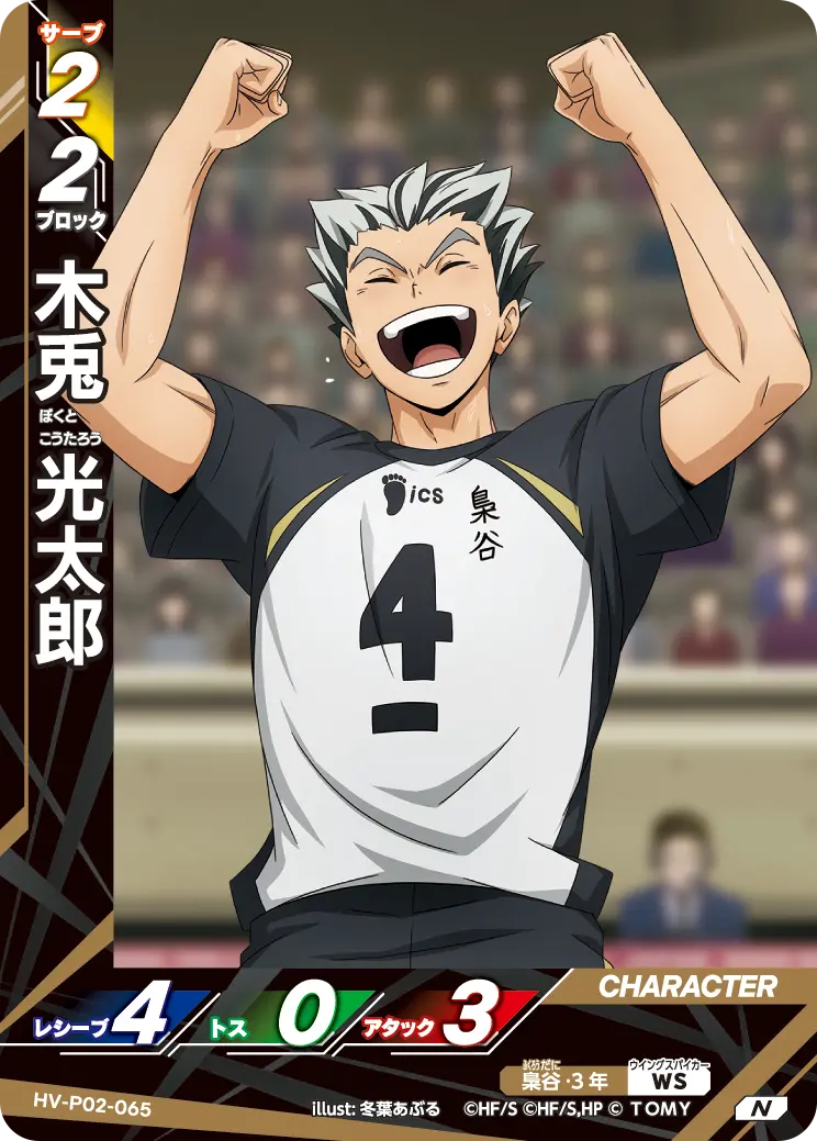 HV-P02-065 Bokuto, Kotaro N