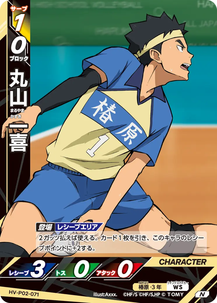 HV-P02-071 丸山 一喜 N